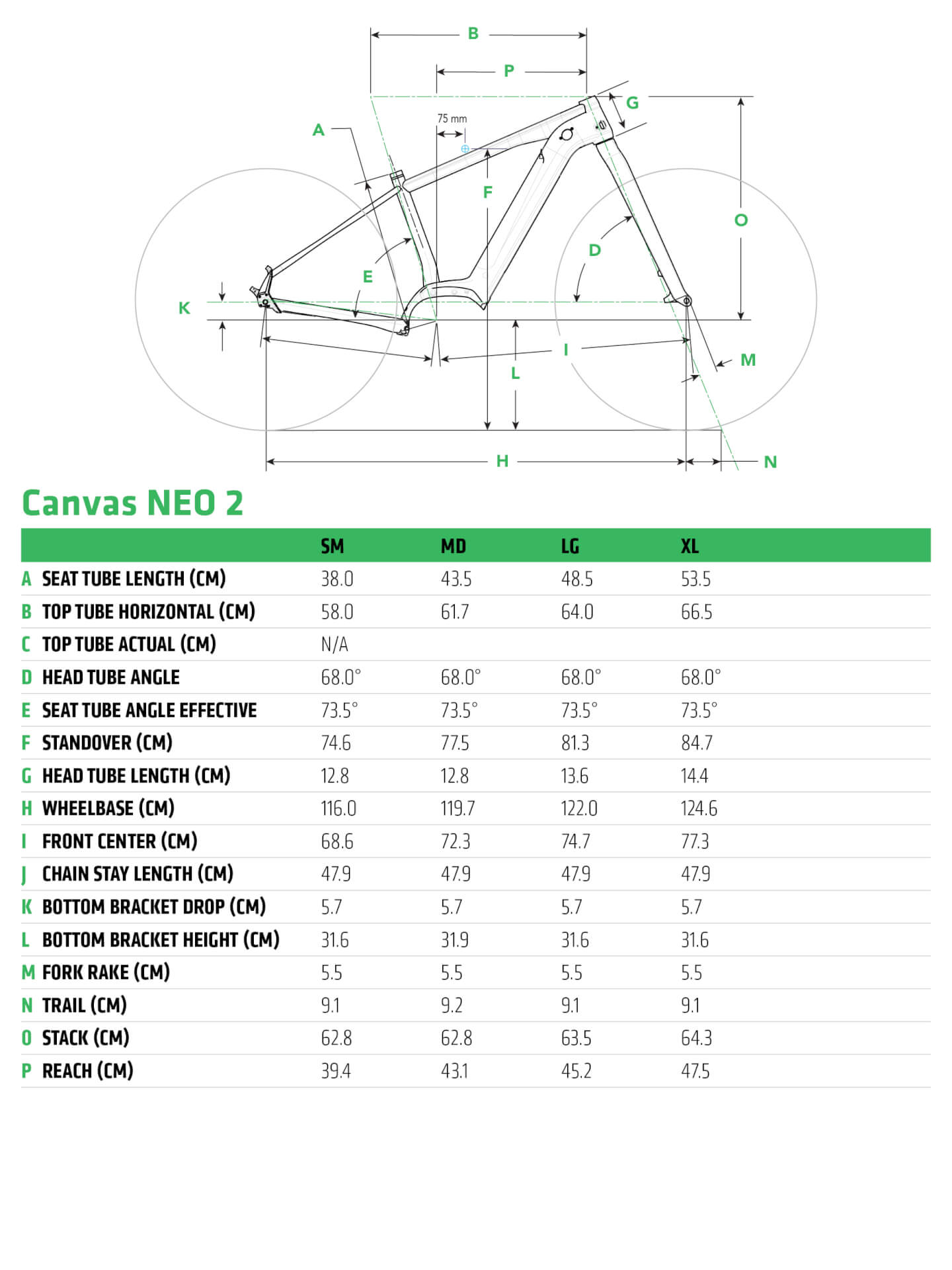 canvas neo 2