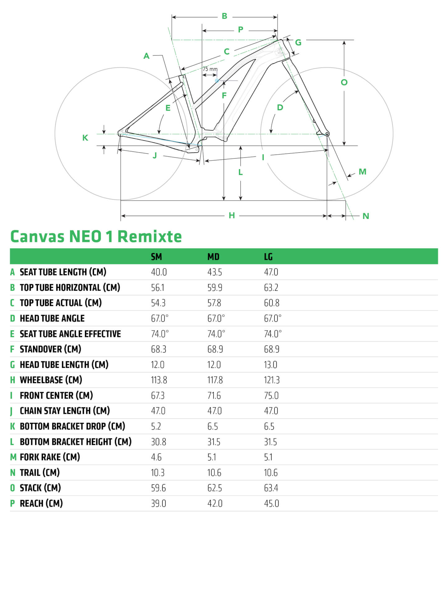 canvas neo remixte 1